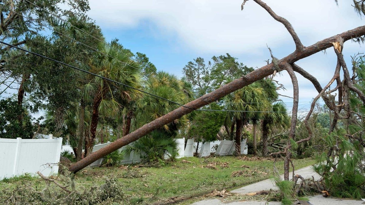 Stay Powered Up: How to Prepare for Hurricane Season